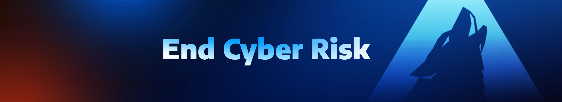 Arctic Wolf Networks