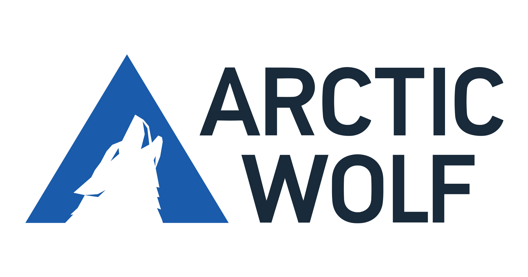 Arctic Wolf Networks